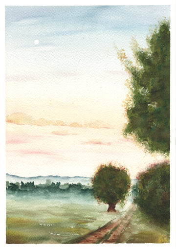 Country Road Lined with Trees