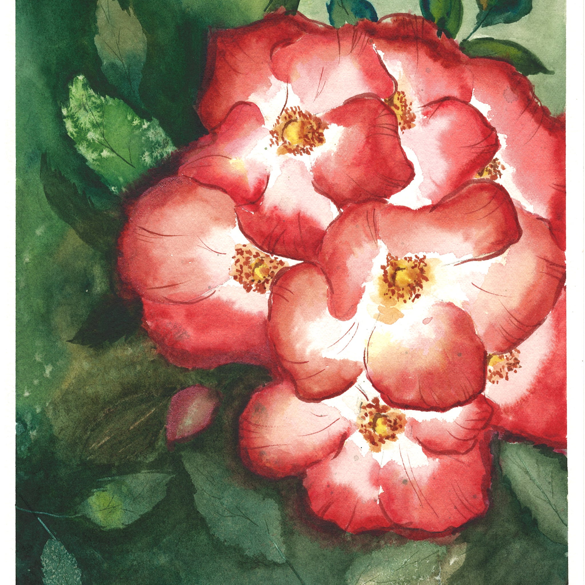 Blooming Red Flowers in Nature