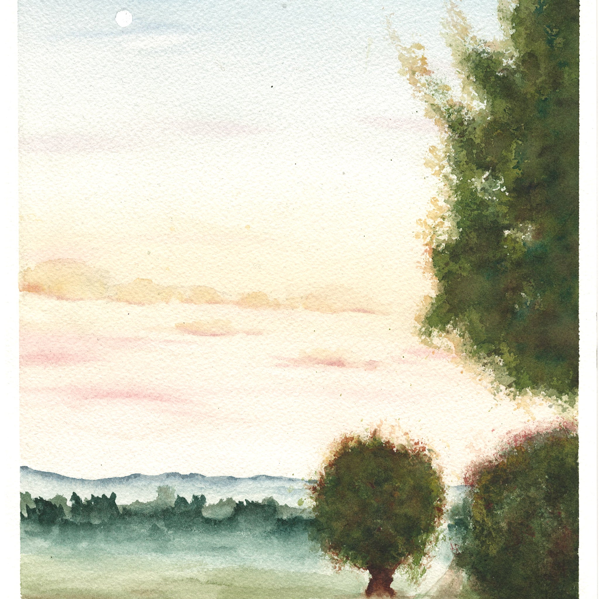 Country Road Lined with Trees