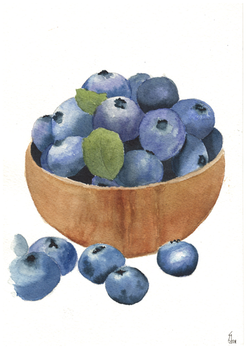 Blueberry Still Life