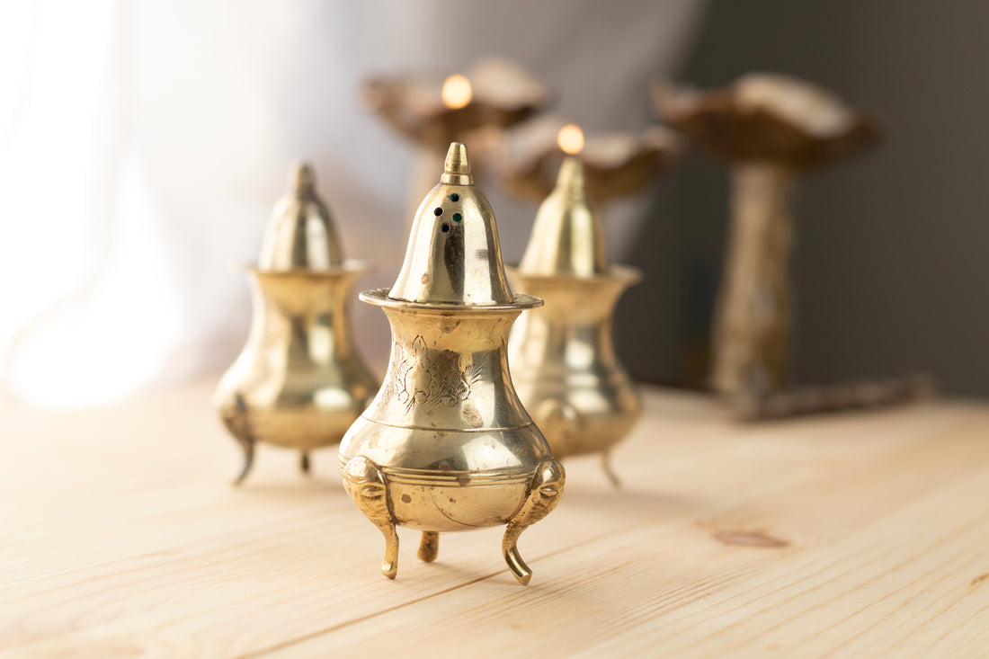 Vintage 1970s Brass Salt & Pepper Shaker Set (set of 3)